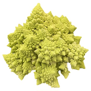 荷兰bejo白金宝塔菜种子秋冬春季夏四季花菜种籽蔬菜种孑螺丝菜