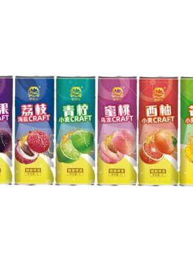 果味精酿原浆啤酒多口味礼盒装
