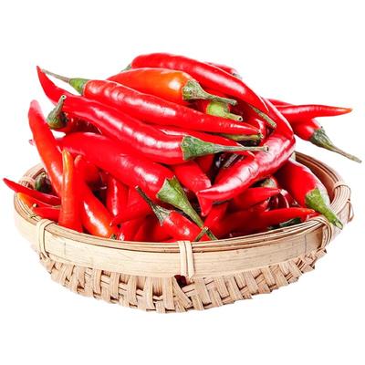 滇鲜生云南食材正宗精选农家自种新鲜现摘散装小米辣红辣椒