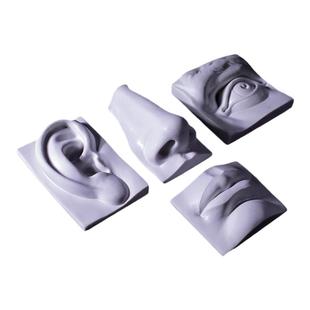 人体五官模型石膏像素描美术教具美术用品树脂头像实面切面画室