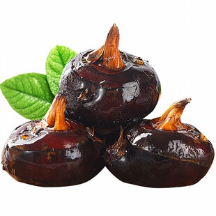 新鲜马蹄荸荠大果应当季水果蔬菜现挖马蹄10斤莲脆地栗梨饽荠包邮