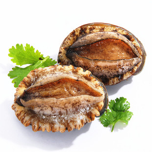 50g/只 10头鲍 北京闪送 鲍鱼新鲜鲜活海鲜大连鲍鱼 水产 大鲍鱼