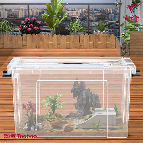 乌龟周转箱养乌龟家用特大号过滤造景塑料透明养鱼养殖箱子乌龟缸