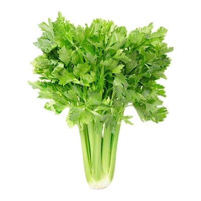 荟馨园有机西芹新鲜安心无农残