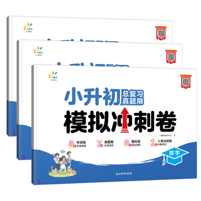 2025小升初总复习语数英