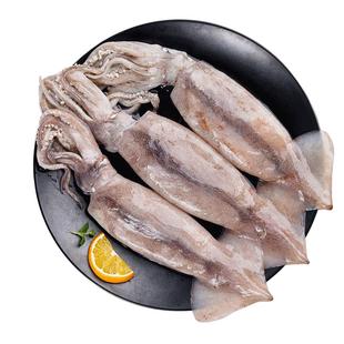 大鱿鱼新鲜冻冷冻新鲜超大尤鱼整只海捕烧烤铁板商用海鲜水产批发