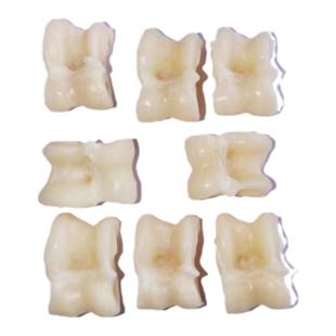 彩色真羊嘎啦旮旯哈真羊拐骨解压玩具80后童年怀旧回忆玩具羊骨头