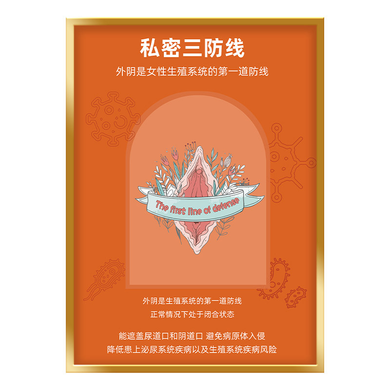 私密三防线生殖挂画私密养护品项产康月子中心妇科医院美容装饰画