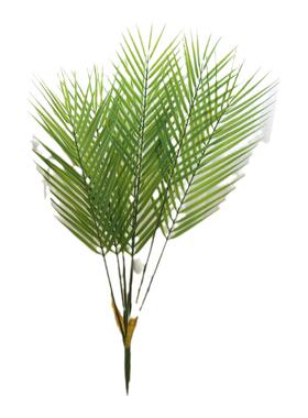 家居摄影民宿插花装饰绿植散尾葵