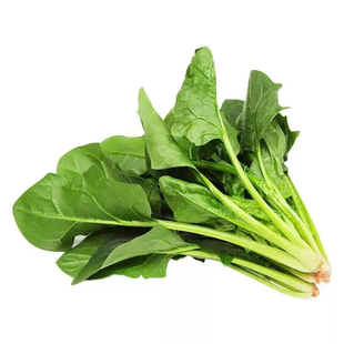 蔬菜种子四季阳台盆栽菜种籽大全葱香菜萝卜籽种瓜果生菜白菜种孑