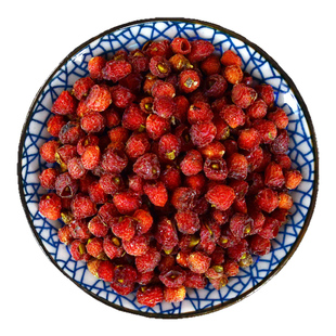 红豆杉果中药材静萱正品南方红豆杉果实红豆杉果干货红豆杉果子