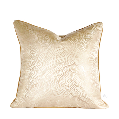 轻奢高端抱枕沙发客厅高级感靠垫大靠背床上睡觉腰靠枕头套可拆洗