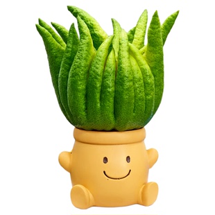 佛手柑鲜果水培植物茶室内禅意桌面绿植摆件办公室闻香观赏香橼果