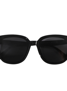 大框墨镜女高级感太阳眼镜冬季