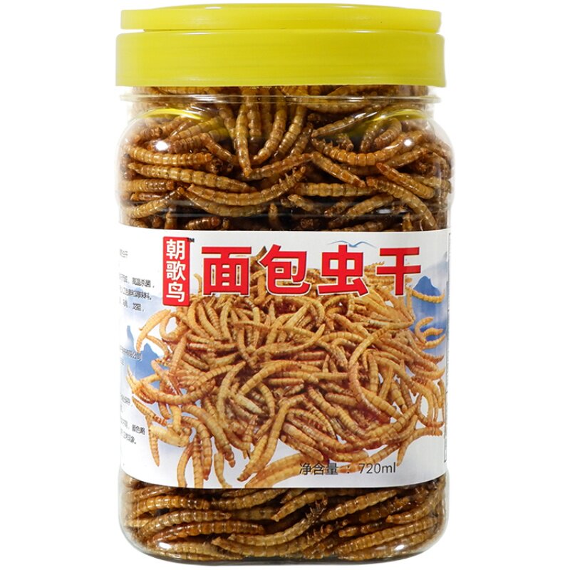 朝歌鸟大桶面包虫干宠物零食百灵