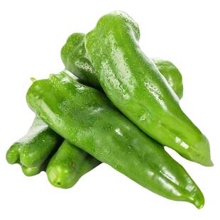 建南改良8-9青皮尖椒种子早熟高产牛角椒种籽子辣椒种孑蔬菜籽种