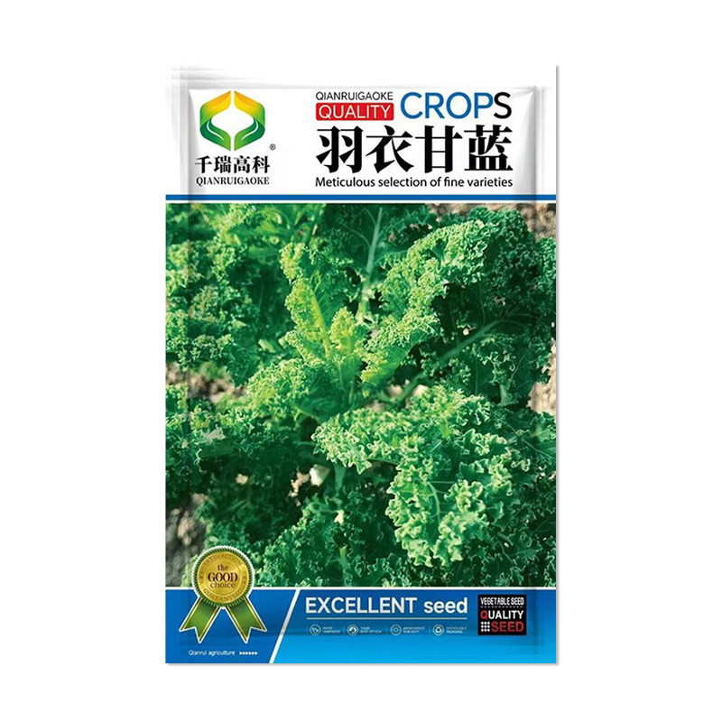 千瑞高科羽衣甘蓝种子
