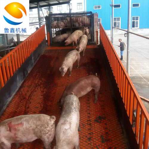 大吨位剪叉升降平台厂家养殖场电动卸猪台厂房仓库固定液压升降机