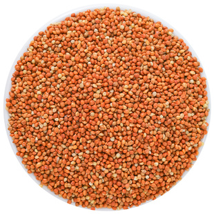 鹦鹉鸟粮饲料新带壳红谷子牡丹虎皮玄凤芦丁鸡珍珠专用粮文鸟粮食