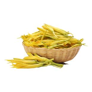 黄花菜种子种籽菜孑金针菜菜籽蔬菜春季秋季菜种多年生野菜食用