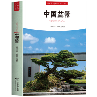中国盆景正版 符号中国系列中英双语彩图版 树桩山水岭南盆景造型技法栽培养护与审美意境发展历史 盆景艺术鉴赏栽培养护书籍