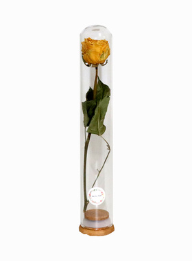 干花永生花玻璃试管标本生日礼物