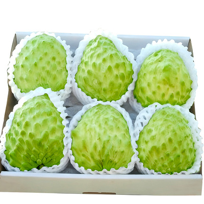 【凤梨释迦果】精选特大果