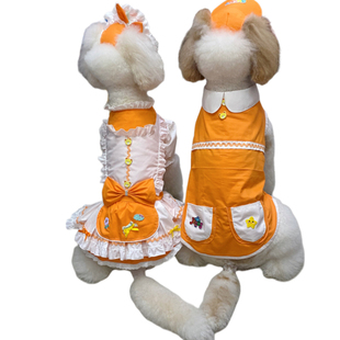 中大型犬情侣装拉布拉多金毛松狮衣服萨摩耶裙子巨贵夏装裙子狗衣