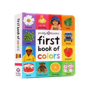 启蒙认知100词系列  英文原版绘本First 100 Words/Animals/Colors/Shapes 幼儿英语早教纸板书 常见单词图解读物 Roger Priddy