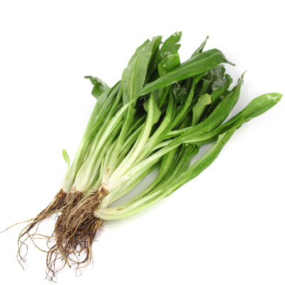 大香菜新鲜香料菜大芫荽泰式食材
