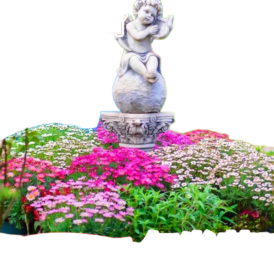 野花组合四季开花30个品种组合