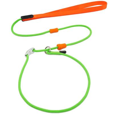 BeauGo狗狗牵引绳p绳p链狗绳大型犬牵引绳小型犬狗绳宠物狗牵引绳