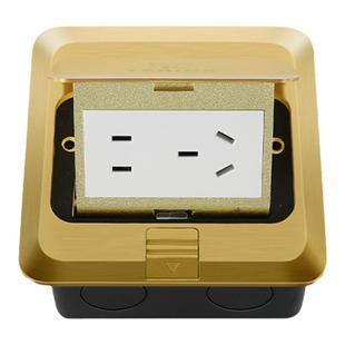 TERIUX地插座全铜金色弹出地插座隐藏式弹起式地插五孔网络地插