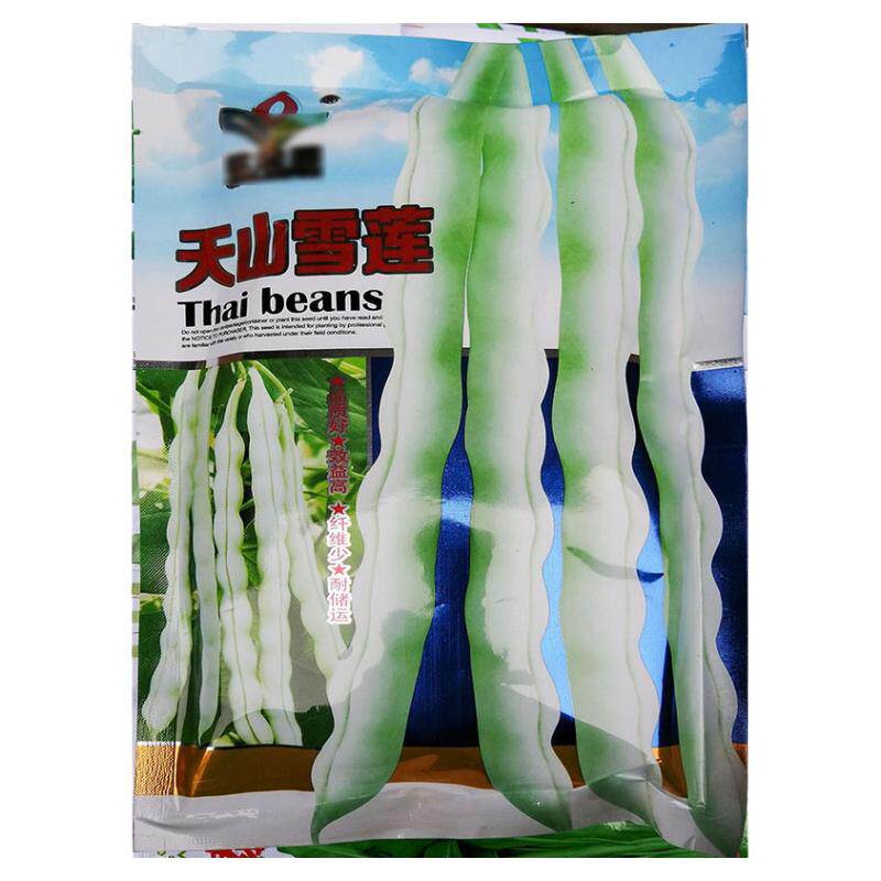 天山雪莲200g白色无筋四季豆蔬菜种子孑籽架豆芸豆刀豆芸扁豆菜