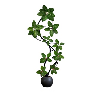 孟加拉榕树室内客厅大盆栽高级感轻奢大型落地绿植高端大气上档次