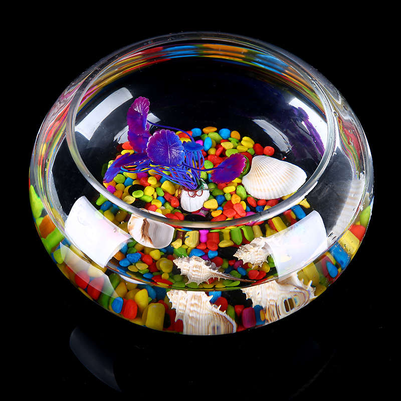 包邮加厚款圆形透明玻璃鱼缸乌龟缸大号鼓缸碗莲水培超白小鱼缸