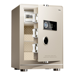 得力保险柜3S国标认证家用小型指纹密码保险箱大型防盗床头柜嵌入式办公室防盗全钢大型文件柜商用入衣柜