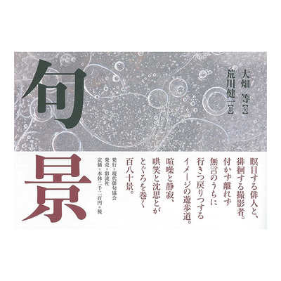 【现货】诗歌摄影集 句景 大畑等、荒川健一 现代俳句协会 日本原版文学诗歌摄影艺术作品集书籍进口