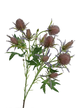 北欧仿真花刺芹单枝花艺