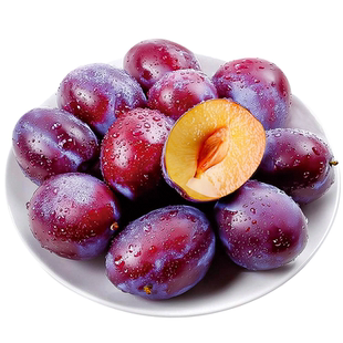 西梅树树苗法兰西南方北方庭院阳台种植西梅果树果苗带土当年结果