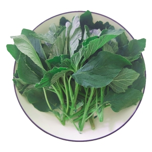 新鲜野苋菜时令野菜银子菜人星菜现摘人汉菜营养蔬菜玉谷叶非种植