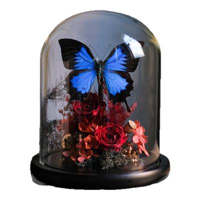 玻璃罩永生花摆件复古蝴蝶标本