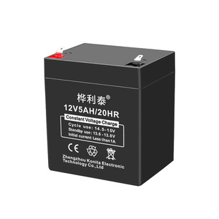 12V5AH电动卷闸门机24V卷帘门电梯控制器拉杆音响安防蓄电池电瓶