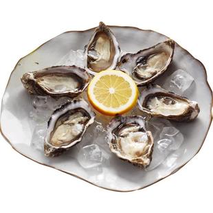 新西兰马尔伯勒鲜活生蚝Moana莫娜M/L号12只木盒装 非法国生蚝