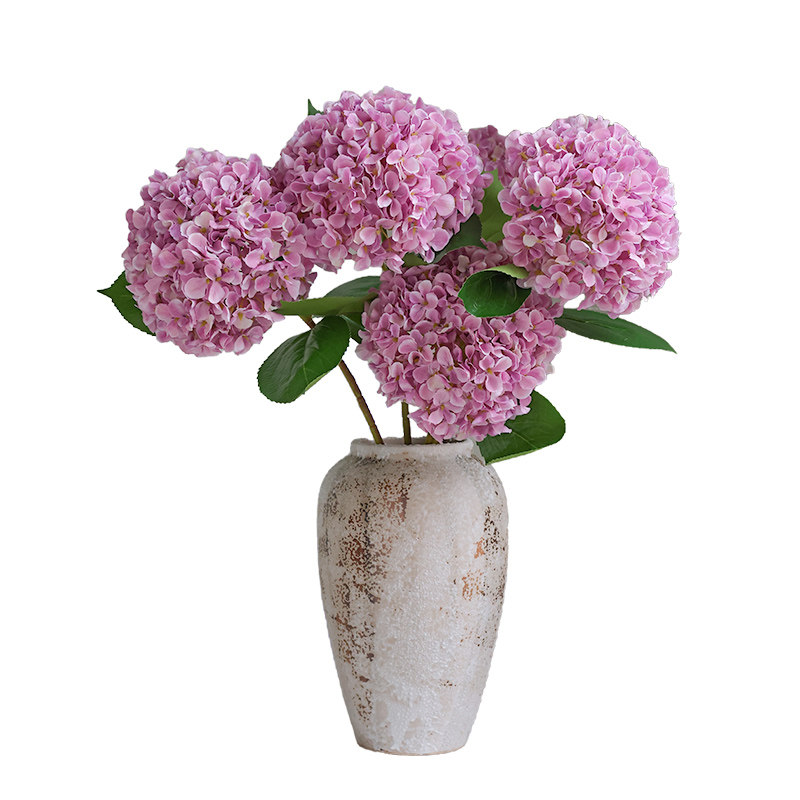 生喜朗绣球花客厅花朵柔软饱满