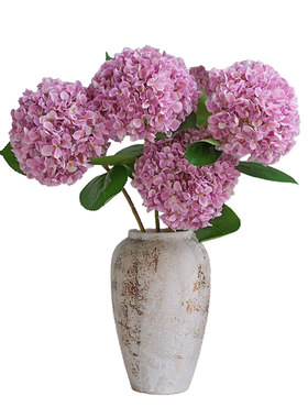 生喜朗绣球花客厅花朵柔软饱满