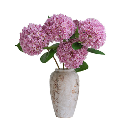 生喜朗绣球花客厅花朵柔软饱满