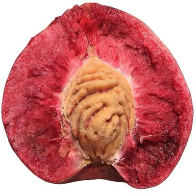 老兵顺丰胭脂红血桃5斤桃子雪桃
