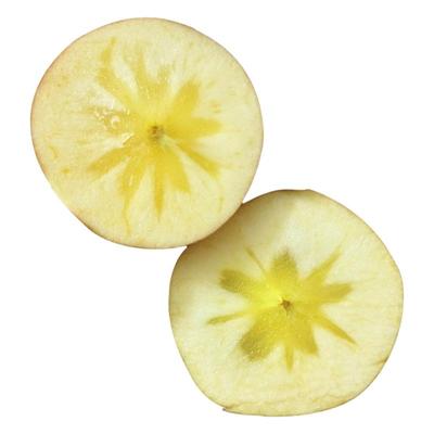 甘肃会宁脆甜沙地冰糖心红富士苹果应季时令新鲜水果冰糖心丑苹果