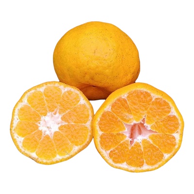 四川椪柑现摘现发椪柑